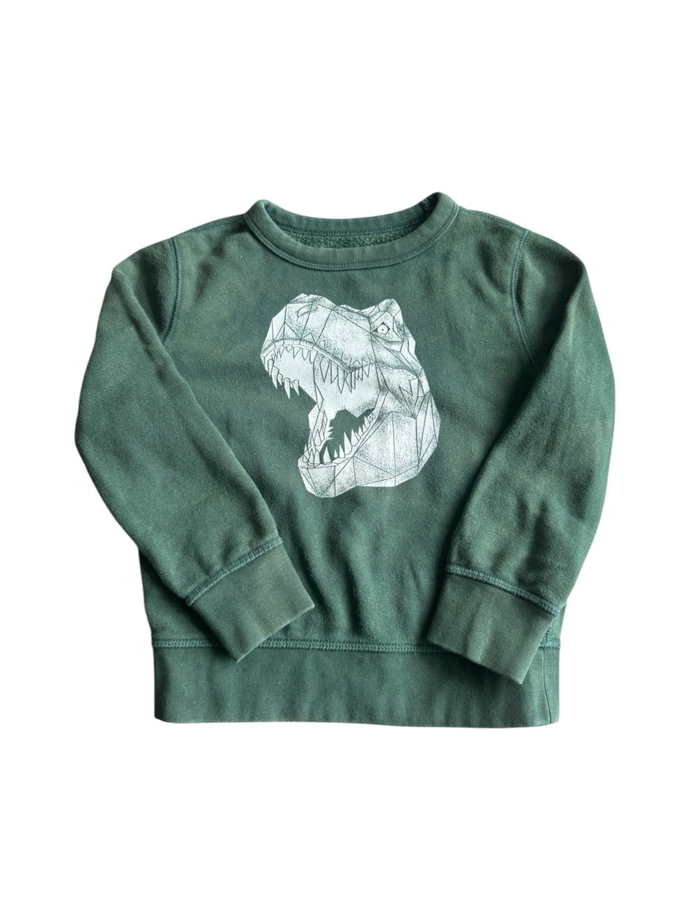 Gap Kids Boys XS Green T-Rex Dinosaur Graphic Crewneck Sweatshirt